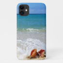 Recherche de vagues photographie Coquillages