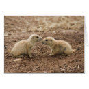 Recherche de prarie Nature