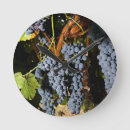Recherche de vignobles horloges Vigne