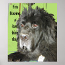 Recherche de neuve posters Pour enfants