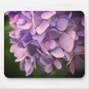 Recherche de pétales tapis souris Photographie