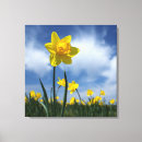 Recherche de assez impressions sur toile Vert