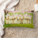 Recherche de lapins coussins Drôle