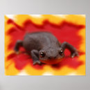 Recherche de occasions spéciales posters Nature