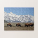 Recherche de bison puzzles Wyoming