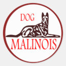 Recherche de malinois autocollants Berger