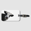 Recherche de cow luggage tags Vache