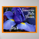 Recherche de le tennessee posters Iris