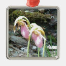 Recherche de orchidée ornements Floral