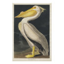 Recherche de pelican posters Vintage