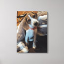 Recherche de beagles impressions sur toile Animal
