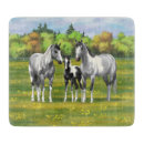 Recherche de poissons planches à découper Corail