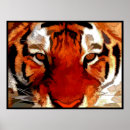 Recherche de yeux de tigre posters Animaux