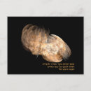 Recherche de judaïsme cartes postales Bible