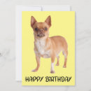 Recherche de chiot de chiwawa vœux cartes Chihuahua