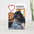 Recherche de photo drôle de chien vœux cartes Shih tzu