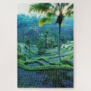 Recherche de bali puzzles Paysage