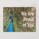 Recherche de beau paon cartes postales Oiseau exotique