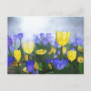 Recherche de la profondeur cartes postales Bleu