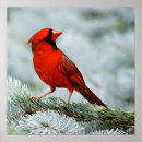 Recherche de abstrait rouge posters Ciel