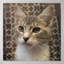Recherche de minou mignon posters Animaux familiers