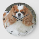 Recherche de cavalier king charles spaniel horloges Amoureux des chiens