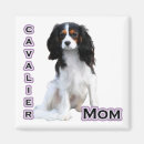 Recherche de cavaliers magnets Cavaliking king