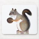 Recherche de écureuils tapis souris Forêt