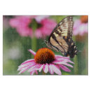 Recherche de papillon jaune planches à découper Fleurs