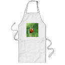 Recherche de coccinelle tabliers Nature