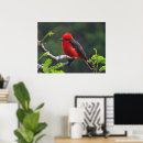 Recherche de un oeil posters Oiseau