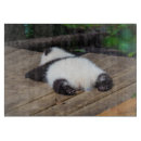 Recherche de panda planches à découper Animal