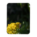 Recherche de fleur jaune magnets Floral