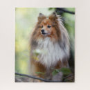 Recherche de shetland sheepdog puzzles Mignon