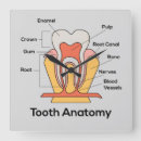 Recherche de santee horloges Dents