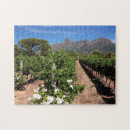 Recherche de vignoble puzzles Nuage