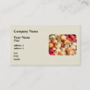 Recherche de oignon cartes visite Chef