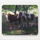 Recherche de cheval miniature tapis souris Poney