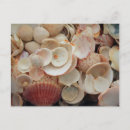 Recherche de noël de la floride cartes postales Plage