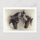 Recherche de poney peinture cartes postales Vintage