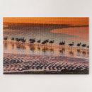 Recherche de faune puzzles Plage