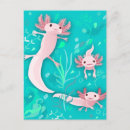 Recherche de salamandres cartes postales Aquatique