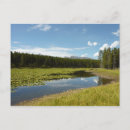 Recherche de lac des cygnes cartes postales Photographie