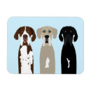 Recherche de grande taille magnets Pour tous