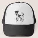 Recherche de poils casquettes Chien