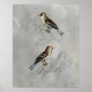 Recherche de deux oiseaux posters Animaux