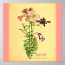 Recherche de charles rennie mackintosh posters Rose