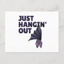 Recherche de battes cartes postales Chauves souris
