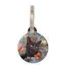 Recherche de vacances de chat articles Noir