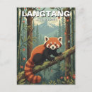 Recherche de panda roux Faune